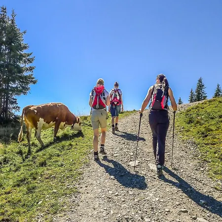 Apartmán In With Parking Brixen im Thale